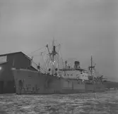 Fartyget Polystar vid kaj