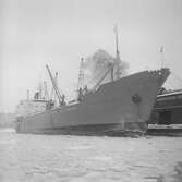 Fartyget Rio Negro Valley vid kaj
