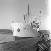 Fartyget Signeborg vid kaj
