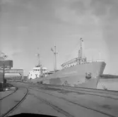 Fartyget Edelgard vid kaj
