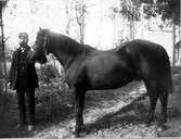 Kusken Carlsson och hästen Spader