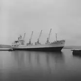 Fartyget Ingrid Gorthon på Älven
