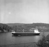 Fartyget Jürgen W på Älven