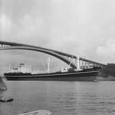 Fartyget Tricolor vid Sandöbron
