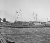 Fartyget Maasborg vid kaj

