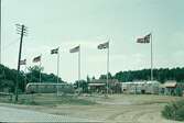 Björkängs camping i Tvååker. Nisses bar. Några bussar och en kiosk. Sex flaggstänger med olika flaggor.