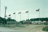 Björkängs camping i Tvååker. Nisses bar. Några bussar och en kiosk. Sex flaggstänger med olika flaggor.