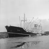 Fartyget Tatra vid kaj

