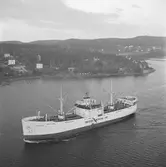 Fartyget Laholm på Älven

