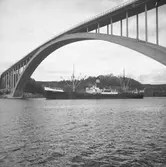 Fartyget Dagny vid Sandöbron
