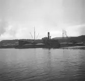 Fartyget Carbonia vid kaj