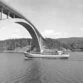 Fartyget Cremon vid Sandöbron
