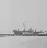 Fartyget Susanne Dania vid kaj