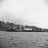 Fartyget Trinidad vid kaj

