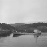 Fartyget Spiekeroog på Älven

