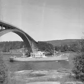 Fartyget Campania vid Sandöbron

