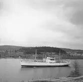 Fartyget Mode på Älven

