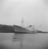 Fartyget Montevideo vid Sandöbron

