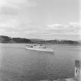 Fartyget Svanesund på Älven

