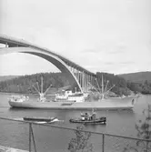 Fartyget Valencia vid Sandöbron

