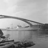 Fartyget Wangaratta vid Sandöbron

