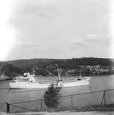 Fartyget Gondul vid Sandöbron

