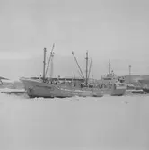 Fartyget Hannes Fesefeldt vid kaj
