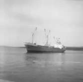 Fartyget Jümme på Älven

