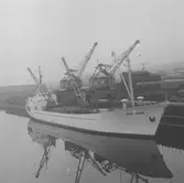 Fartyget Royal Paper vid kaj

