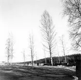 Plats för ny klockstapel, gamla kyrkan.