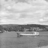 Fartyget Fredenhagen på Älven

