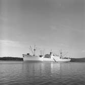 Fartyget Nebraska på Älven

