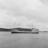 Fartyget Wegro på Älven