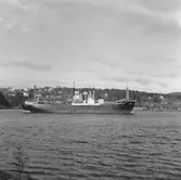 Fartyget Castorp på Älven