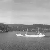 Fartyget Irma Graebe

