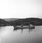 Fartyget Tidö på Älven

