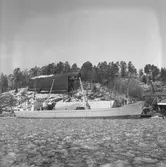 Fartyget Vega vid kaj

