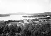 Härnösand sett från kyrktornet. Vykort, cirka 1900.