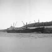 Fartyget Wakenitz vid kaj

