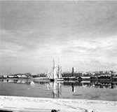 Vinterdag med seglare i  Härnösands hamn.