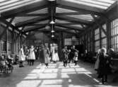 Leksalen i Kustsanatoriet Apelvikens träpaviljong från 1904. Många tbc-sjuka barn i olika åldrar är tillsammans med en sjuksköterska i rummet. Till vänster sitter två småbarn i en gemensam gungstol.