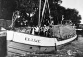 Lastbåten M/F Ellwe, 1924-1935