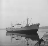 Fartyget Peleus på Älven

