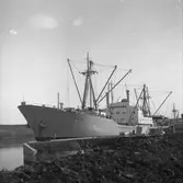 Fartyget Tumlaren vid kaj
