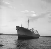 Fartyget Portland på Älven

