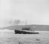 Fartyget Iggesund på Älven

