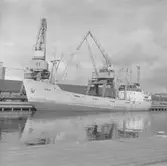 Fartyget Oma vid kaj

