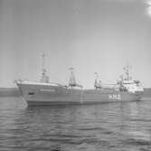 Fartyget Wandrahm på Älven