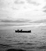 Solumsfiskare lägger ut strömmingssköten utanför Härnön.