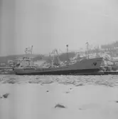 Fartyget Norimo vid kaj.
